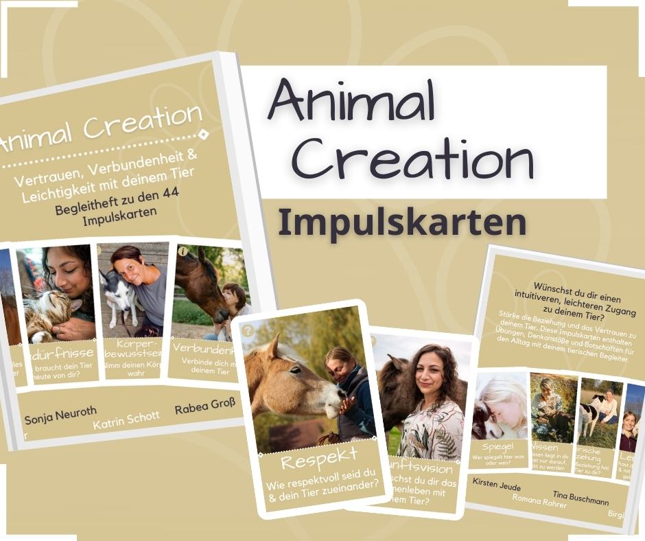 Animal Creation Impulskarten