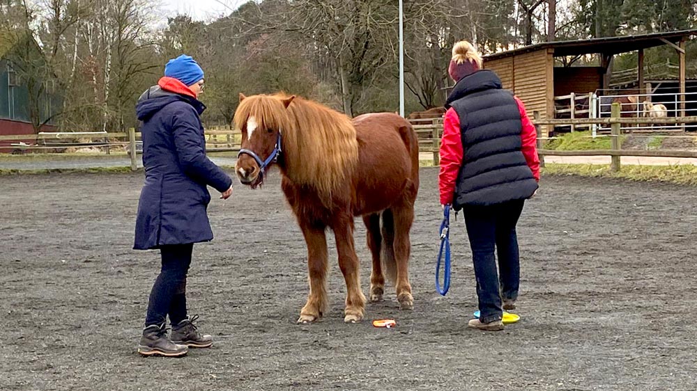 mensch-tier-coaching-mainz Tierkommunikation in Mainz